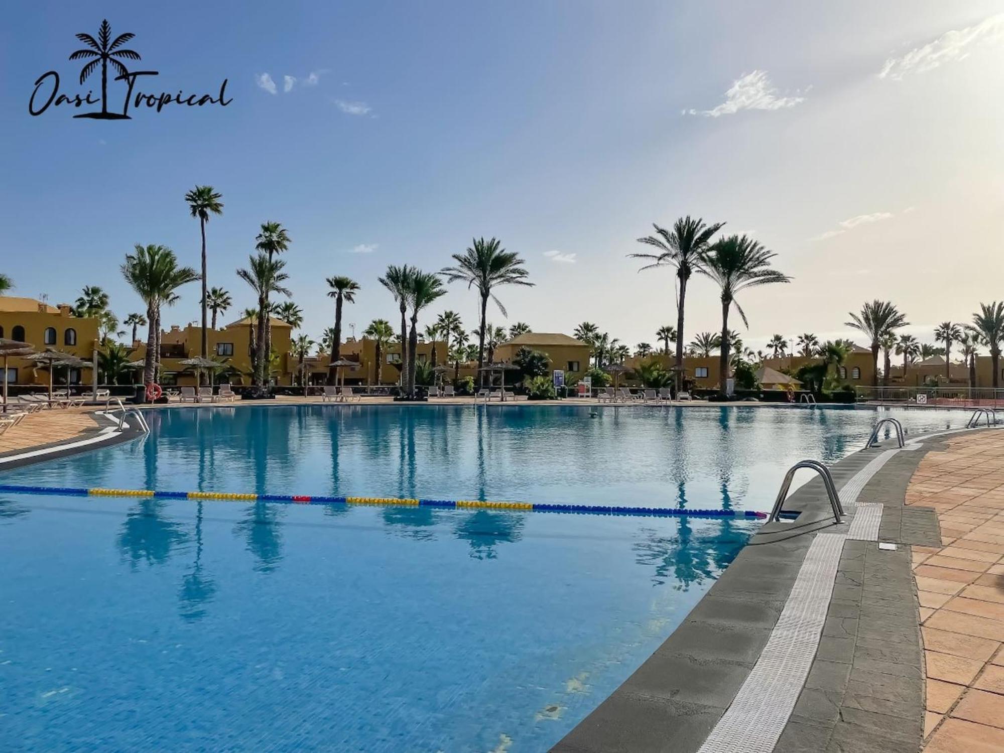Oasi Tropical Wifi Free By Rentalfue Corralejo Exterior photo
